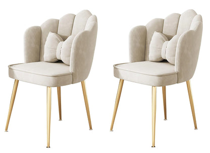 Living Room Dining Velvet Chairs Pack of 2 Modern Home Seating