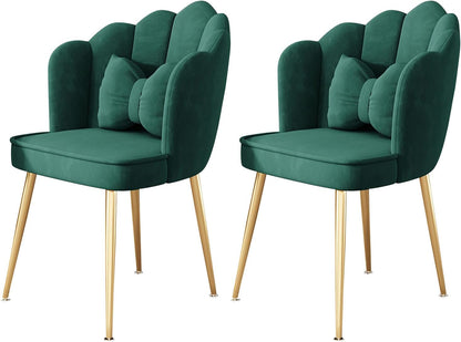 Living Room Dining Velvet Chairs Pack of 2 Modern Home Seating