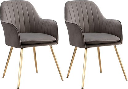 Velvet Lounge Chairs – Modern Design Set Of 2 Pcs Chair