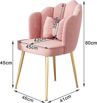 Living Room Dining Velvet Chairs Pack of 2 Modern Home Seating