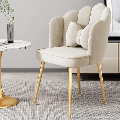 Living Room Dining Velvet Chairs Pack of 2 Modern Home Seating