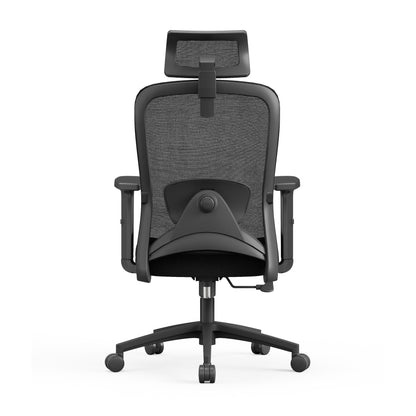 Executive Office Chair – High Back Ergonomic Desk Chair with Lumbar Support