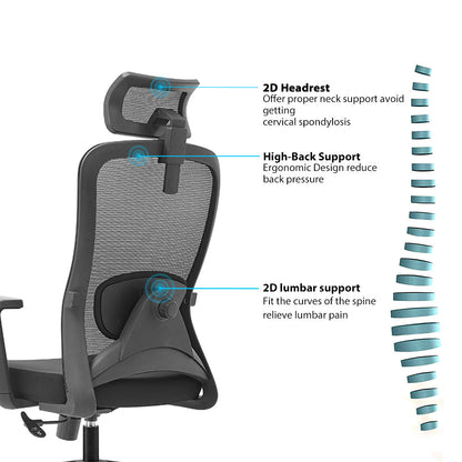 Executive Office Chair – High Back Ergonomic Desk Chair with Lumbar Support