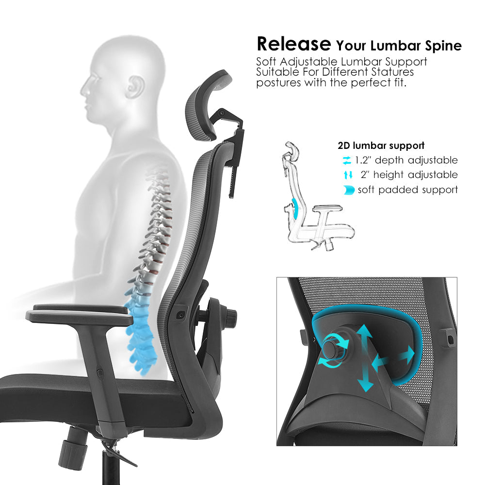 Executive Office Chair – High Back Ergonomic Desk Chair with Lumbar Support